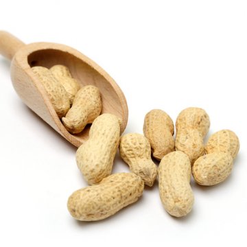 nARA H1  Peanut 