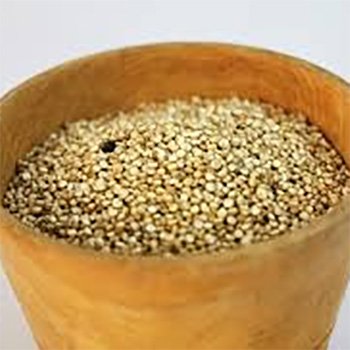 Amaranth (Allergen) 