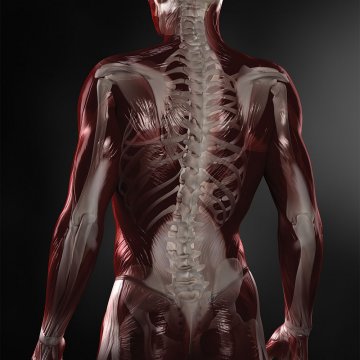 FLOWCast Neuromuscular Blocker