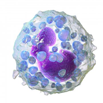 DMG PEG 2000 Allergen