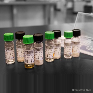Coccidioides ID Control &