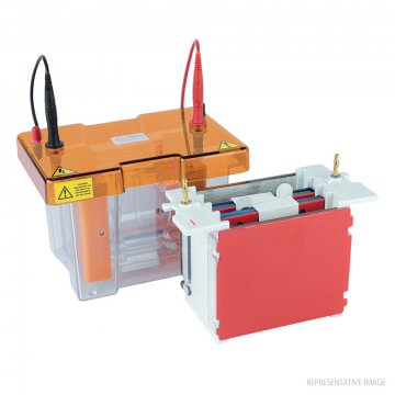 Mini/Maxi Capillary Blank