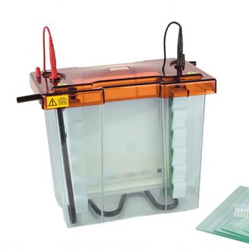 Maxi Z Dual Vertical 