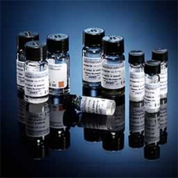Histo Mycelial CFT Antige
