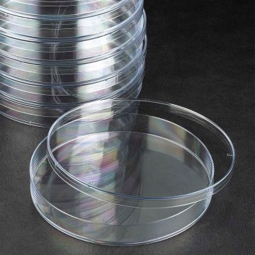 Triple Vent Petri Dish&#x